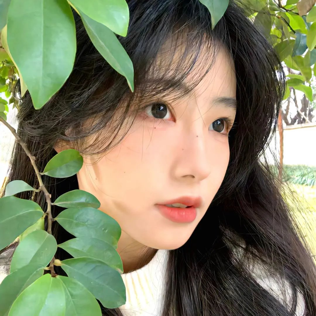 大唐女巡按